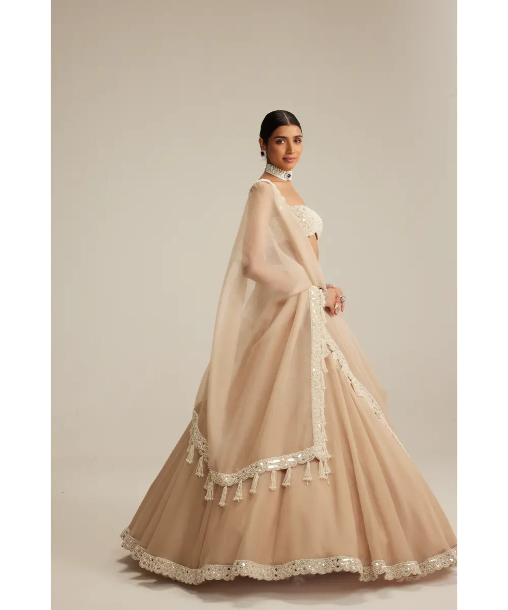 VVANI VATS- Light Beige Organza mirror and pearl lehenga set